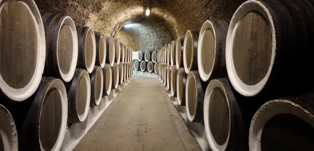 alternatif taxi alsace pour activitee